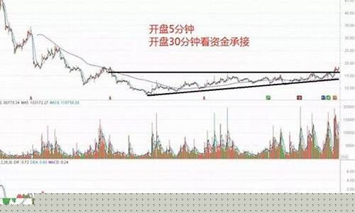 30分钟看盘技巧(开盘30分钟看盘技巧)_https://www.gdbxwh.com_淘宝运营_第1张