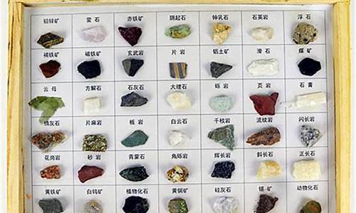 150种常见矿石标本(一块鹅卵石值多少钱)_https://www.gdbxwh.com_抖音快手_第1张