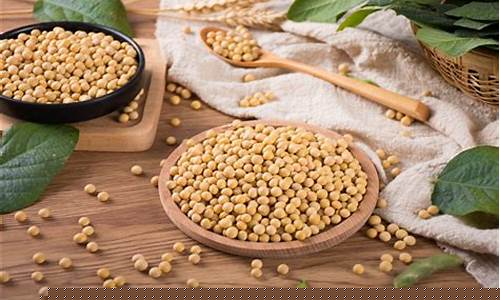 期货大豆最新直播(期货大豆实时行情)_https://www.gdbxwh.com_开网店_第1张