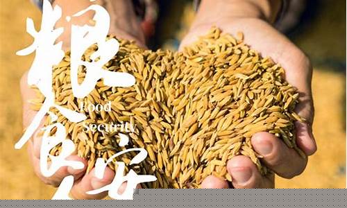 2023粮食行情走势(2021年粮食行情分析)_https://www.gdbxwh.com_抖音快手_第1张