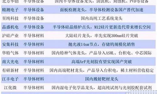 半导体芯片龙头股票排名(半导体板块的龙头股票有哪些)_https://www.gdbxwh.com_天猫运营_第1张