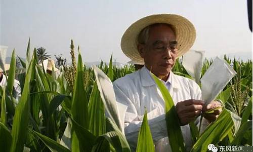 海南玉米期货直播(海南玉米今日价格)_抖音快手_第1张_电商运营网 海南玉米期货直播(海南玉米今日价格)_https://www.gdbxwh.com_抖音快手_第1张