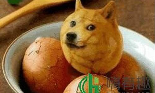 狗蛋股市直播(狗蛋看股市)_代运营_第1张_电商运营网 狗蛋股市直播(狗蛋看股市)_https://www.gdbxwh.com_代运营_第1张