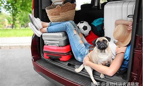 宠物托运哪家最便宜(宠物托运一只猫多少钱)_https://www.gdbxwh.com_天猫运营_第1张