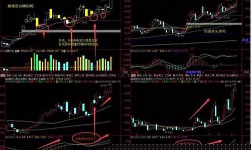 安静的投机者股市直播(安静投资)(安静 cfo)_https://www.gdbxwh.com_代运营_第1张