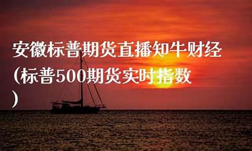 安徽标普期货直播新浪财经(标普500期货实时走势图)_https://www.gdbxwh.com_直通车_第1张