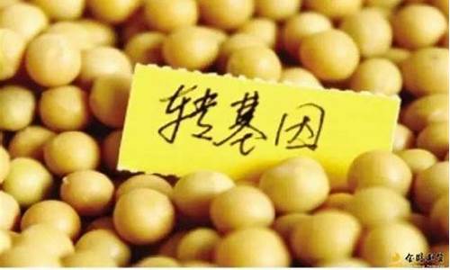 什么是大豆期货(大豆期货受什么影响)_https://www.gdbxwh.com_直通车_第1张