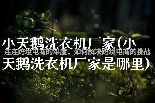 小天鹅洗衣机厂家(小天鹅洗衣机厂家是哪里)_https://www.gdbxwh.com_淘宝运营_第1张