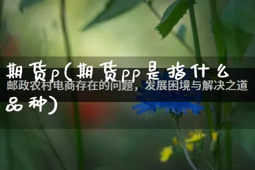 期货p(期货pp是指什么品种)_https://www.gdbxwh.com_天猫运营_第1张