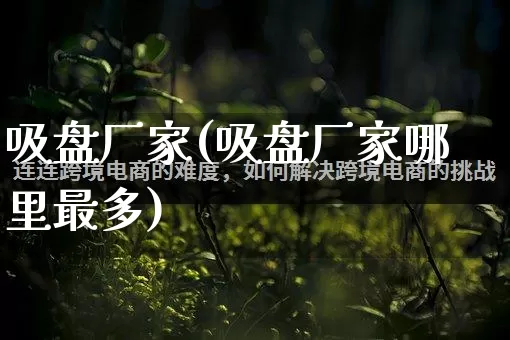 吸盘厂家(吸盘厂家哪里最多)_https://www.gdbxwh.com_淘宝运营_第1张