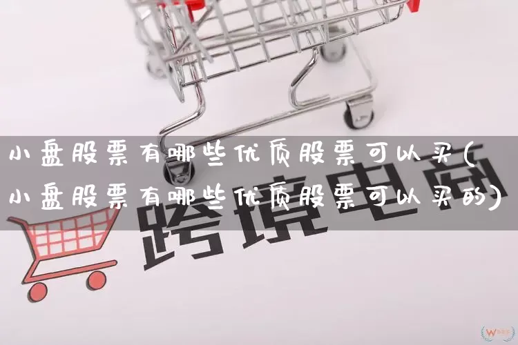 小盘股票有哪些优质股票可以买(小盘股票有哪些优质股票可以买的)_https://www.gdbxwh.com_天猫运营_第1张