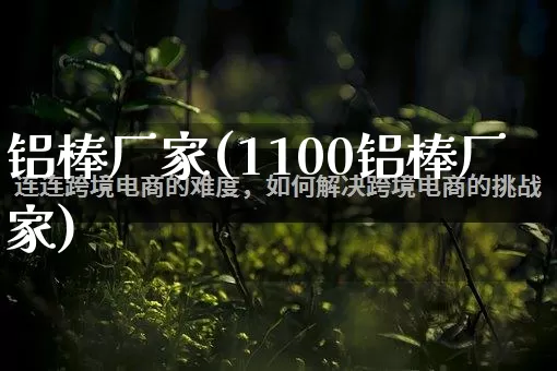 铝棒厂家(1100铝棒厂家)_https://www.gdbxwh.com_抖音快手_第1张
