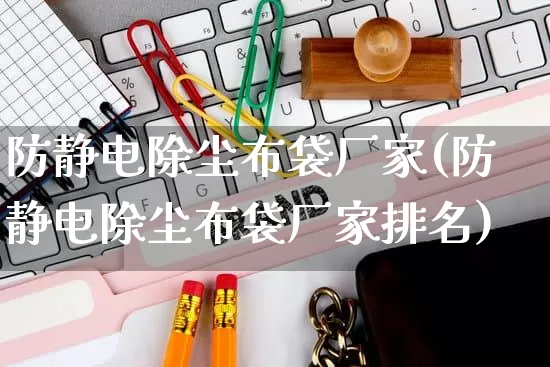 防静电除尘布袋厂家(防静电除尘布袋厂家排名)_https://www.gdbxwh.com_开网店_第1张