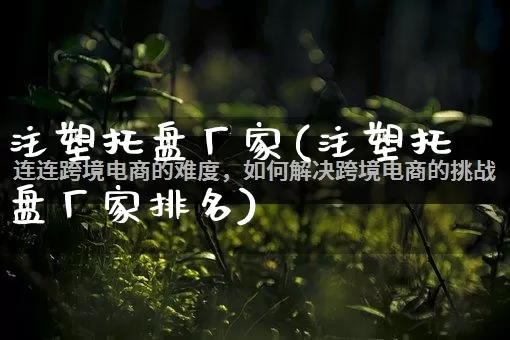 注塑托盘厂家(注塑托盘厂家排名)_https://www.gdbxwh.com_抖音快手_第1张
