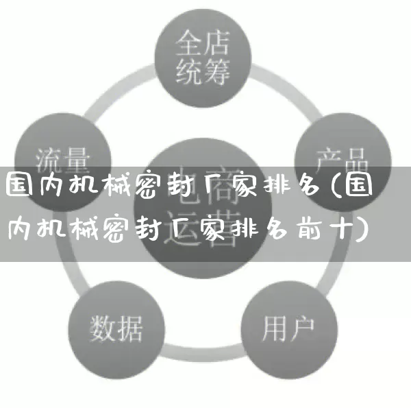 国内机械密封厂家排名(国内机械密封厂家排名前十)_https://www.gdbxwh.com_开网店_第1张