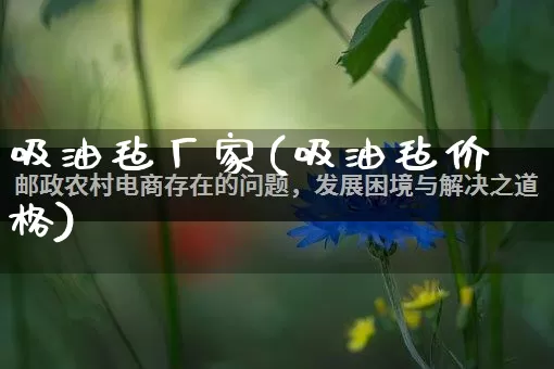 吸油毡厂家(吸油毡价格)_https://www.gdbxwh.com_抖音快手_第1张
