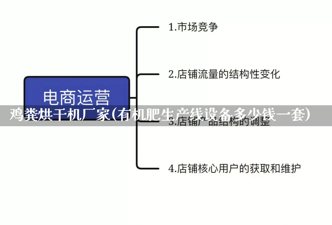 鸡粪烘干机厂家(有机肥生产线设备多少钱一套)_https://www.gdbxwh.com_淘宝运营_第1张