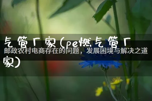 气管厂家(pe燃气管厂家)_https://www.gdbxwh.com_开网店_第1张