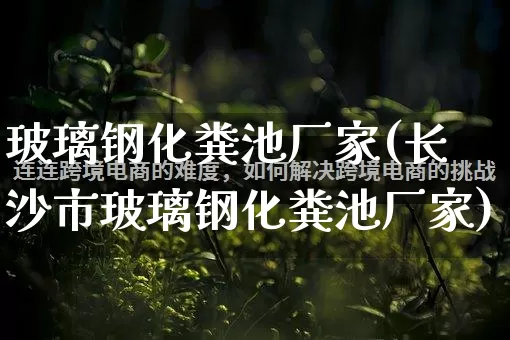 玻璃钢化粪池厂家(长沙市玻璃钢化粪池厂家)_https://www.gdbxwh.com_直通车_第1张