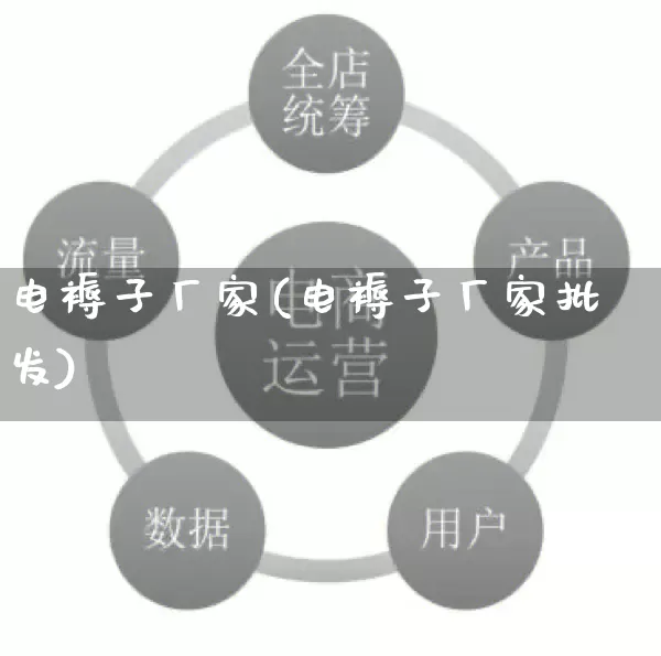电褥子厂家(电褥子厂家批发)_https://www.gdbxwh.com_代运营_第1张
