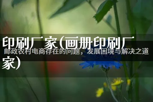 印刷厂家(画册印刷厂家)_https://www.gdbxwh.com_淘宝运营_第1张