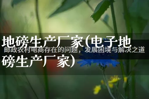 地磅生产厂家(电子地磅生产厂家)_https://www.gdbxwh.com_代运营_第1张