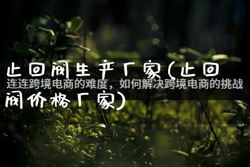 止回阀生产厂家(止回阀价格厂家)_https://www.gdbxwh.com_淘宝运营_第1张