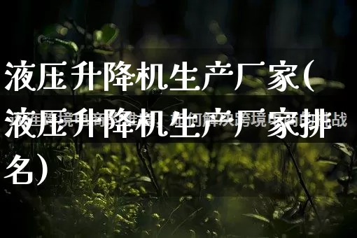 液压升降机生产厂家(液压升降机生产厂家排名)_https://www.gdbxwh.com_抖音快手_第1张