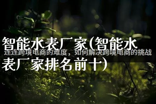 智能水表厂家(智能水表厂家排名前十)_https://www.gdbxwh.com_淘宝运营_第1张
