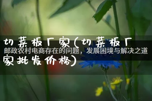 切菜板厂家(切菜板厂家批发价格)_https://www.gdbxwh.com_淘宝运营_第1张