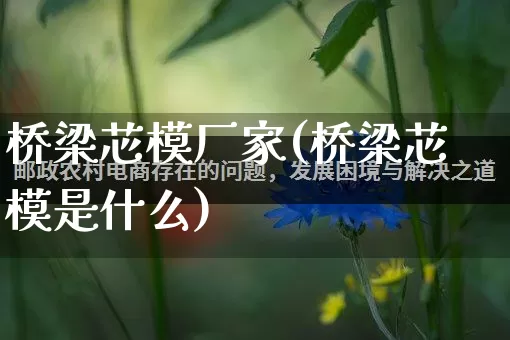 桥梁芯模厂家(桥梁芯模是什么)_https://www.gdbxwh.com_直通车_第1张