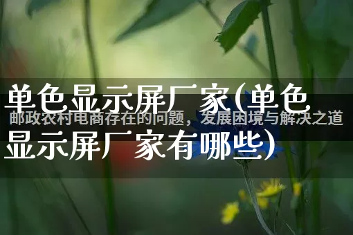 单色显示屏厂家(单色显示屏厂家有哪些)_https://www.gdbxwh.com_开网店_第1张