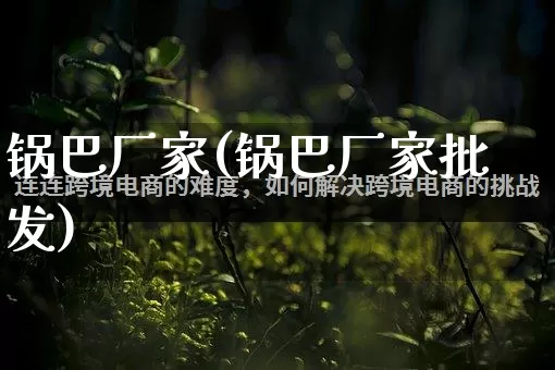 锅巴厂家(锅巴厂家批发)_https://www.gdbxwh.com_抖音快手_第1张