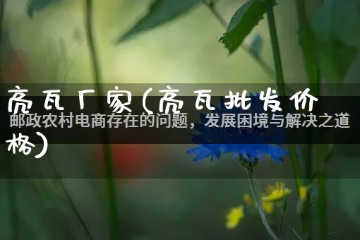 亮瓦厂家(亮瓦批发价格)_https://www.gdbxwh.com_开网店_第1张