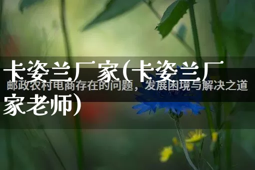 卡姿兰厂家(卡姿兰厂家老师)_https://www.gdbxwh.com_开网店_第1张
