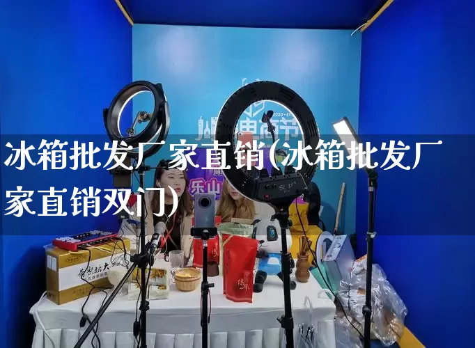 冰箱批发厂家直销(冰箱批发厂家直销双门)_https://www.gdbxwh.com_开网店_第1张