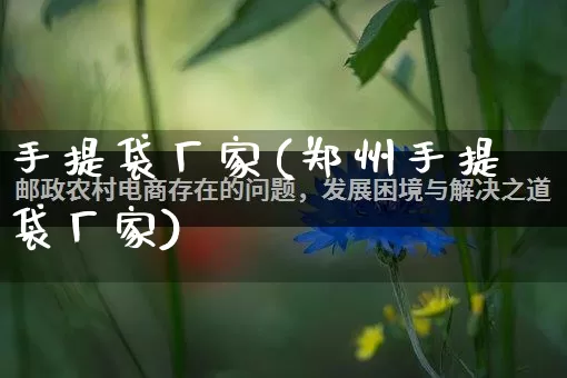 手提袋厂家(郑州手提袋厂家)_https://www.gdbxwh.com_天猫运营_第1张