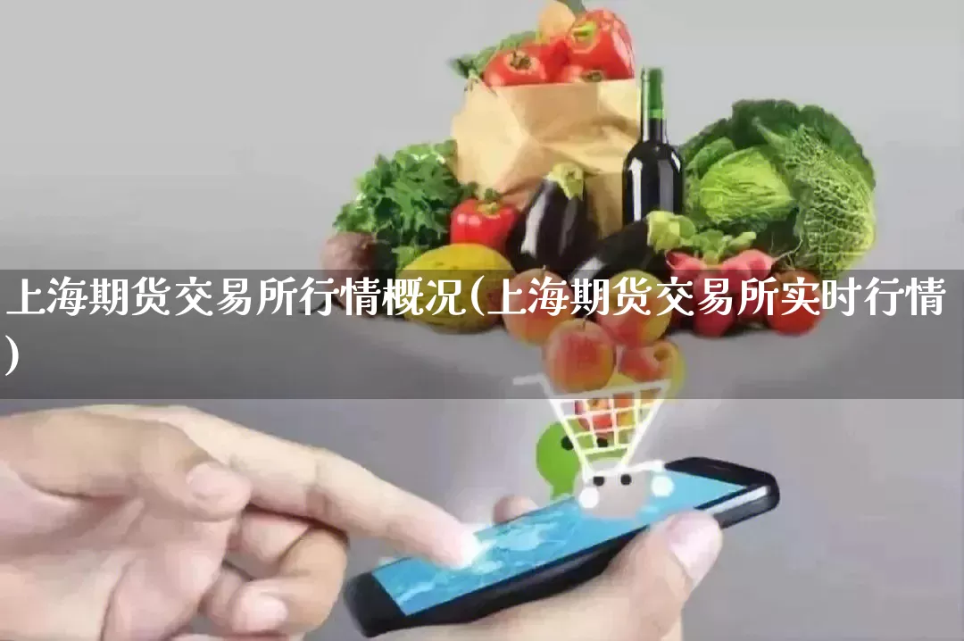 上海期货交易所行情概况(上海期货交易所实时行情)_https://www.gdbxwh.com_代运营_第1张