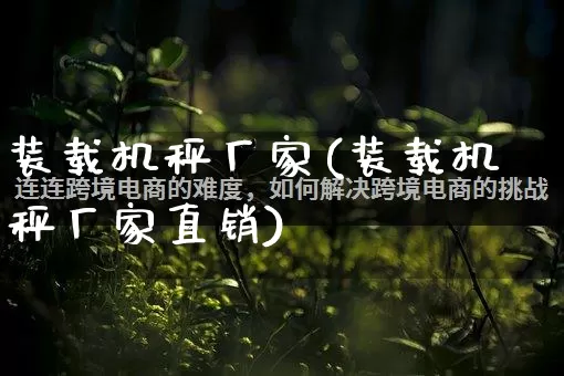 装载机秤厂家(装载机秤厂家直销)_https://www.gdbxwh.com_抖音快手_第1张