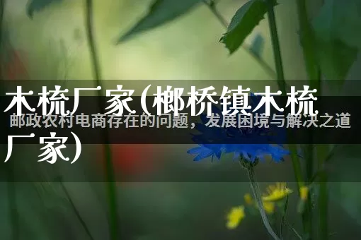木梳厂家(榔桥镇木梳厂家)_https://www.gdbxwh.com_淘宝运营_第1张