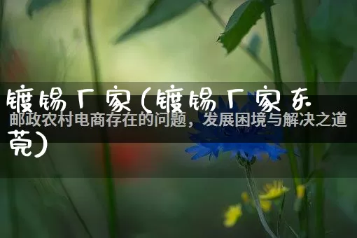 镀锡厂家(镀锡厂家东莞)_https://www.gdbxwh.com_直通车_第1张