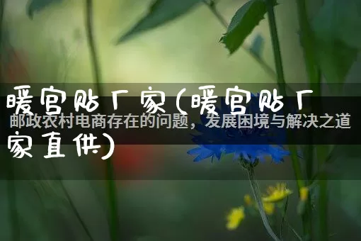 暖宫贴厂家(暖宫贴厂家直供)_https://www.gdbxwh.com_淘宝运营_第1张