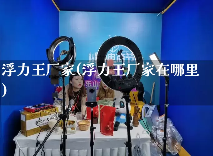 浮力王厂家(浮力王厂家在哪里)_https://www.gdbxwh.com_代运营_第1张