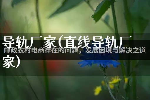 导轨厂家(直线导轨厂家)_https://www.gdbxwh.com_淘宝运营_第1张