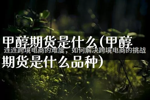 甲醇期货是什么(甲醇期货是什么品种)_https://www.gdbxwh.com_抖音快手_第1张