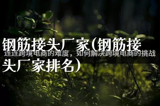 钢筋接头厂家(钢筋接头厂家排名)_https://www.gdbxwh.com_直通车_第1张