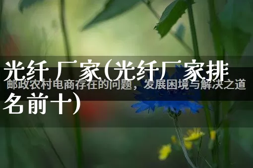 光纤 厂家(光纤厂家排名前十)_https://www.gdbxwh.com_淘宝运营_第1张