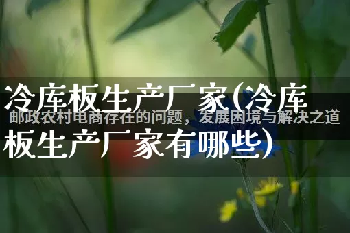 冷库板生产厂家(冷库板生产厂家有哪些)_https://www.gdbxwh.com_淘宝运营_第1张