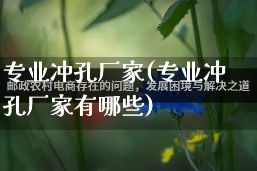 专业冲孔厂家(专业冲孔厂家有哪些)_https://www.gdbxwh.com_代运营_第1张