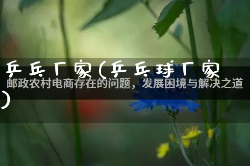 乒乓厂家(乒乓球厂家)_https://www.gdbxwh.com_淘宝运营_第1张